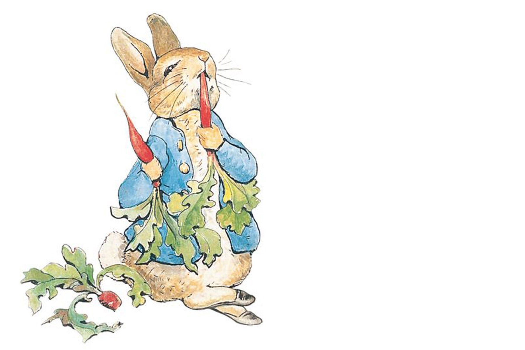 PETER RABBIT X NANCY & BETTY STUDIO
