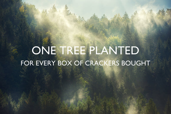 WE PLANT ONE TREE FOR EACH BOX OF CRACKERS YOU BUY