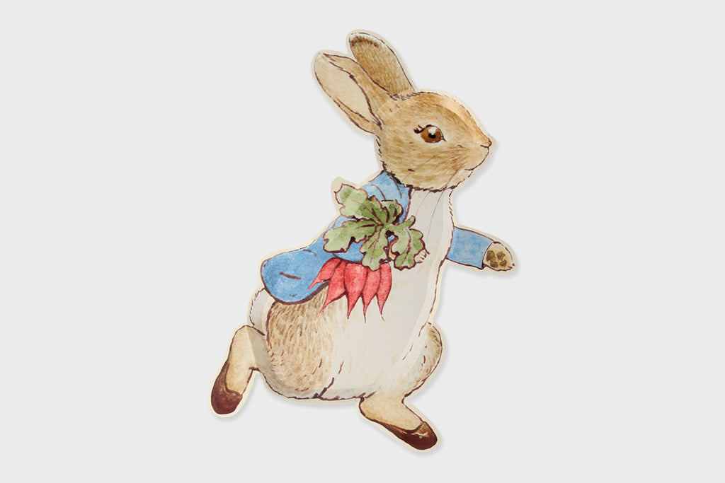 PETER RABBIT SHAPED PAPER PLATE (x12)